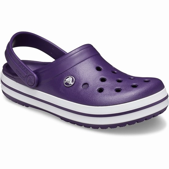 Crocs Crocband™ Sandale Crocs Damske Nachový | JPO418069