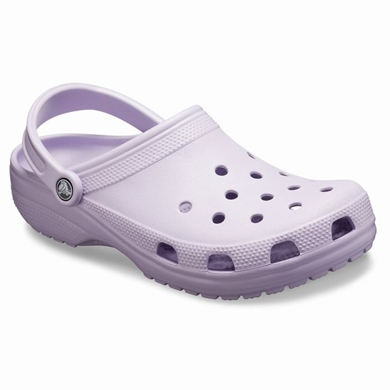 Crocs Klasické Sandale Crocs Damske Lavendel | LMU035168
